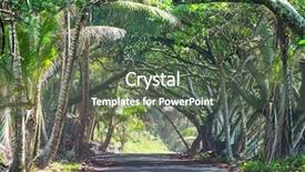  Presentation with remote hearing - Slides enhanced with dirt road in remote jungle background and a dark gray colored foreground