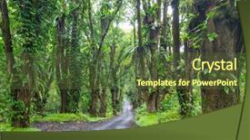  Presentation with hawaii - PPT theme with dirt road in remote jungle background and a tawny brown colored foreground