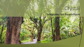  Presentation with remote - Audience pleasing theme consisting of dirt-road-in-remote-jungle backdrop and a mint green colored foreground