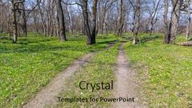  Presentation with fork road - Presentation theme with dirt road in spring forest background and a yellow colored foreground