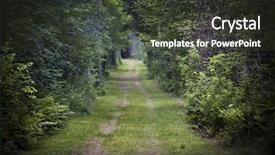  Presentation with forest road green - Amazing presentation having dirt road lined with shrubs backdrop and a tawny brown colored foreground