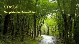  Presentation with rainforest - Amazing PPT theme having dirt road through dense rainforest backdrop and a tawny brown colored foreground