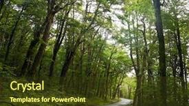  Presentation with new zealand - Presentation having dirt road through dense rainforest background and a tawny brown colored foreground