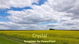  Presentation with forage - Audience pleasing slides consisting of dirt-road-through-fields backdrop and a tawny brown colored foreground