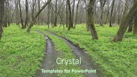  Presentation with dirt - PPT layouts consisting of dirt-road-turn-in-spring background and a violet colored foreground