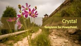  Presentation with rural road - Presentation theme featuring dirt-road-with-flowers-leading background and a tawny brown colored foreground