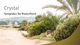  Presentation with dirt - Audience pleasing presentation consisting of dirt-road-with-tropical-plants backdrop and a white colored foreground