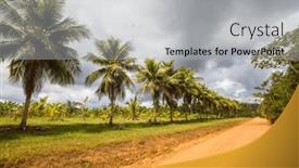  Presentation with dirt - PPT theme featuring dirt-rural-road-in-belize background and a light gray colored foreground