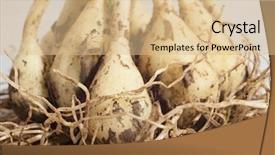  Presentation with dirt dirt texture dirty - PPT theme featuring dirty garlic in the ground background and a  colored foreground