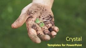  Presentation with seedling - 