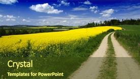  Presentation with rapeseed - Beautiful PPT theme featuring dirty road to the forest in the beautiful rural landscape of young wheat and rapeseed fields backdrop and a tawny brown colored foreground