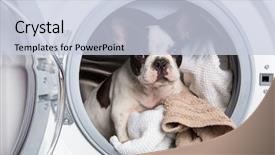  Presentation with china clothes washing machine - Theme enhanced with dirty towel - french bulldog puppy inside background and a lemonade colored foreground
