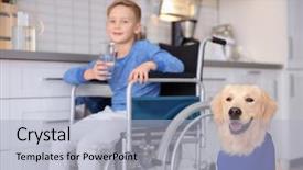  Presentation with dog - PPT theme with disabled kids - cute service dog and blurred background and a light gray colored foreground