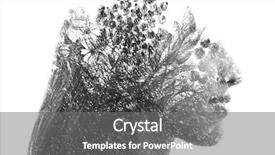  Presentation with artwork - Presentation theme having disappear - portrait photography blends background and a gray colored foreground