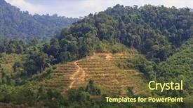 Presentation with palm plantation - PPT theme with disaster - deforestation environmental problem of rainforest background and a tawny brown colored foreground