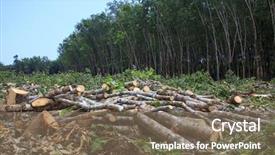  Presentation with rain - Cool new presentation with disaster - deforestation environmental problem rain forest backdrop and a violet colored foreground