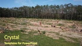  Presentation with deforestation - Slide deck having disaster - deforestation logging environmental damage background and a tawny brown colored foreground