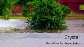  Presentation with disaster - PPT theme with phoenix bird flying up background and a  colored foreground.