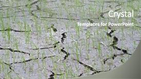  Presentation with drought - Presentation theme having disaster relief - drought stricken and cracked mud background and a gray colored foreground