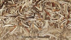  Presentation with tea - Beautiful PPT layouts featuring disc-of-chinese-pu-erh backdrop and a coral colored foreground