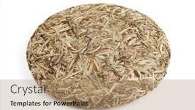  Presentation with tea - Amazing slide deck having disc-of-chinese-pu-erh backdrop and a coral colored foreground