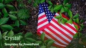  Presentation with american flag - PPT theme with discarded-american-flag-in-weeds background and a tawny brown colored foreground