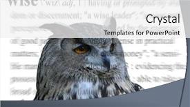  Presentation with photo - Presentation theme enhanced with sense sensibility - photo of an owl background and a white colored foreground
