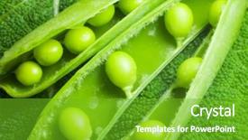  Presentation with bunch of green peas - PPT layouts having disclosed several pods of green background and a  colored foreground