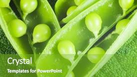  Presentation with green leaf - Audience pleasing slide deck consisting of disclosed several pods of green backdrop and a  colored foreground