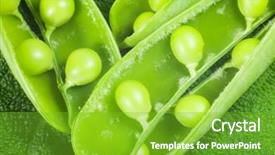  Presentation with bunch of green peas - Beautiful slide deck featuring disclosed several pods of green backdrop and a  colored foreground