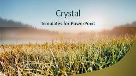  Presentation with meadow - PPT theme having discover the beauty of earth background and a light blue colored foreground