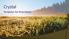  Presentation with meadow - Audience pleasing slides consisting of discover the beauty of earth backdrop and a sky blue colored foreground