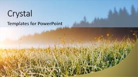  Presentation with meadow - PPT layouts enhanced with discover the beauty of earth background and a light blue colored foreground