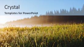  Presentation with meadow - Audience pleasing PPT theme consisting of discover the beauty of earth backdrop and a light blue colored foreground