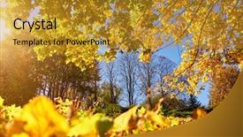  Presentation with earth day - Colorful PPT layouts enhanced with discover the beauty of earth backdrop and a gold colored foreground