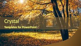  Presentation with earth day - Audience pleasing presentation theme consisting of discover the beauty of earth backdrop and a tawny brown colored foreground