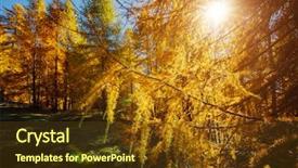  Presentation with glow - Slides featuring discover the beauty of earth background and a tawny brown colored foreground