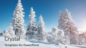  Presentation with magical - Cool new PPT theme with discover the beauty of earth backdrop and a light blue colored foreground