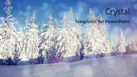  Presentation with wilderness - PPT layouts having discover the beauty of earth background and a teal colored foreground