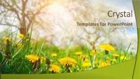  Presentation with earth fantasy or interstellar deep - PPT layouts having discover the beauty of earth background and a lemonade colored foreground