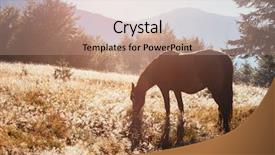  Presentation with farmland - Beautiful presentation featuring discover the beauty of earth backdrop and a coral colored foreground