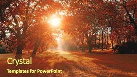  Presentation with earth tone - PPT layouts having discover the beauty of earth background and a tawny brown colored foreground