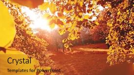  Presentation with earth tone - Slide set consisting of discover the beauty of earth background and a red colored foreground