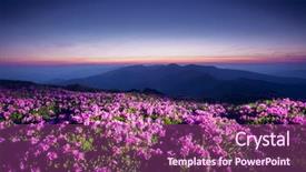  Presentation with awesome - PPT theme enhanced with discover the beauty of earth background and a violet colored foreground