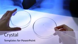  Presentation with biology fungi petri dishes - Colorful PPT layouts enhanced with discovery x ray - scientist working with petri dishes backdrop and a light blue colored foreground