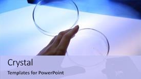  Presentation with biology fungi petri dishes - Theme consisting of discovery x ray - scientist working with petri dishes background and a light blue colored foreground