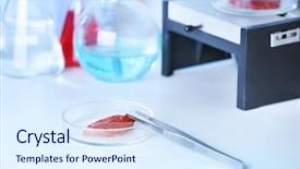  Presentation with petri dish - Slide deck enhanced with dish on table at laboratory background and a sky blue colored foreground