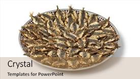  Presentation with sardines - Amazing slide deck having dish with traditional moroccan fried stuffed sardines isolated on white background backdrop and a coral colored foreground