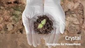  Presentation with soil biology - Cool new slides with dish with plant and soil backdrop and a coral colored foreground