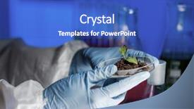  Presentation with soil biology - Audience pleasing slides consisting of dish with plant and soil backdrop and a cobalt blue colored foreground